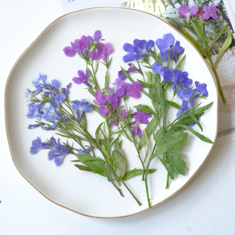 6 Stück/8–13 cm, natürliche Lo – Resin Art Bookmark Bewertung und Preis