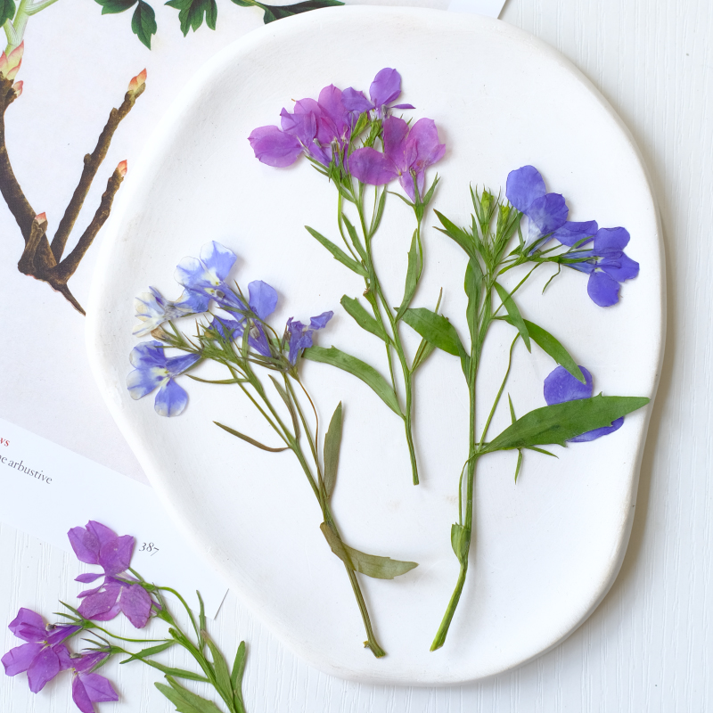 6 Stück/8–13 cm, natürliche Lo – Resin Art Bookmark Bewertung und Preis