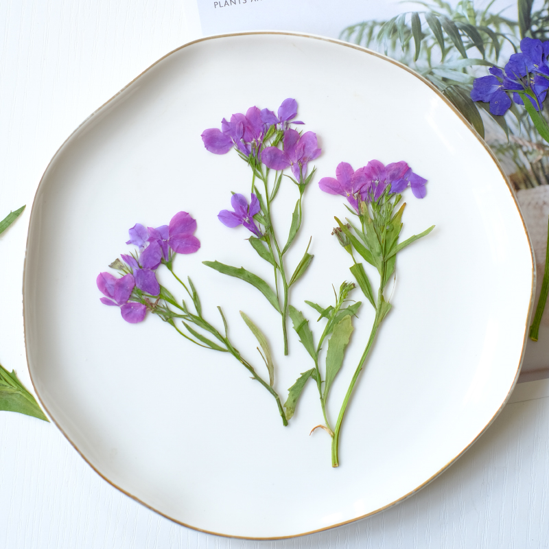 6 Stück/8–13 cm, natürliche Lo – Resin Art Bookmark Bewertung und Preis